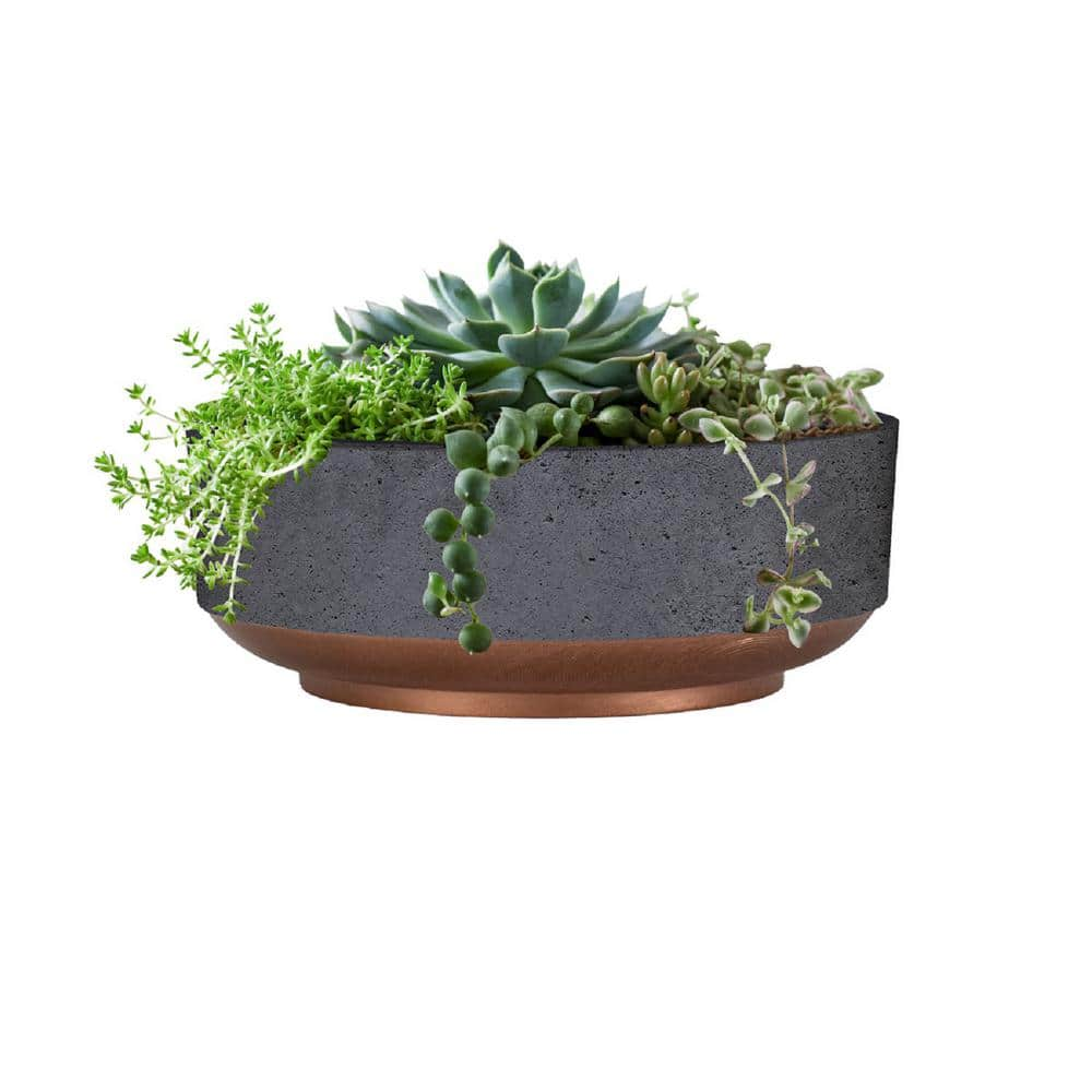 8 in. Faux Concrete Plastic Capri Succulent Bowl CSB08001K20