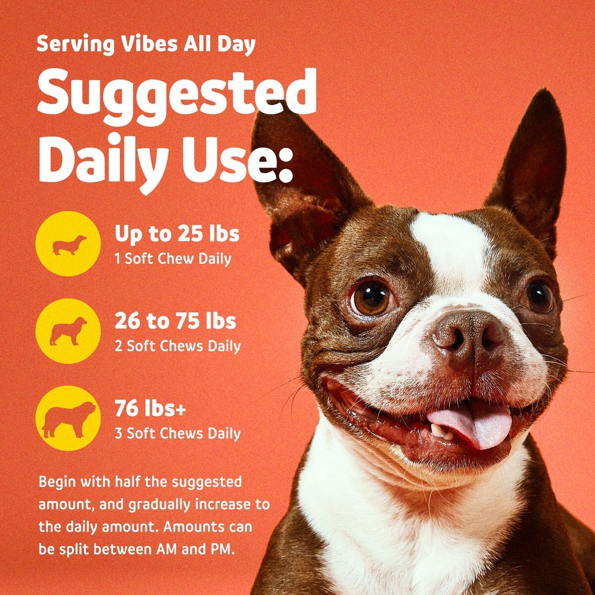 Vibeful Allergy and Immune Support Lamb Flavored Soft Chews Supplement for Dogs