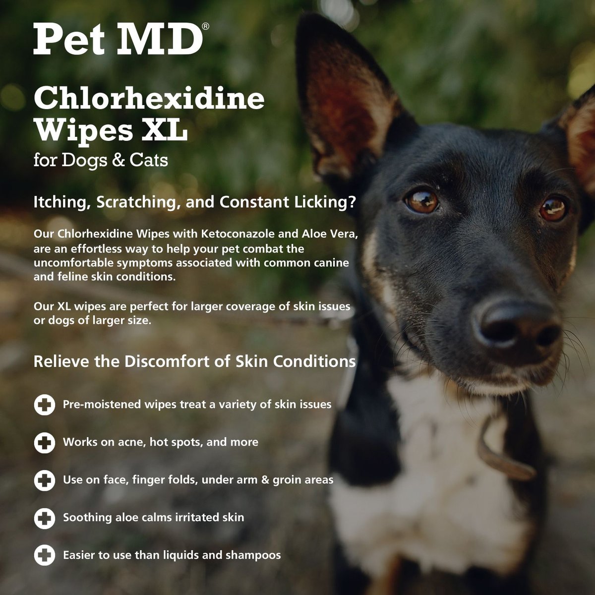 Pet MD Chlorhexidine Antiseptic Dog and Cat Wipes， 70 count