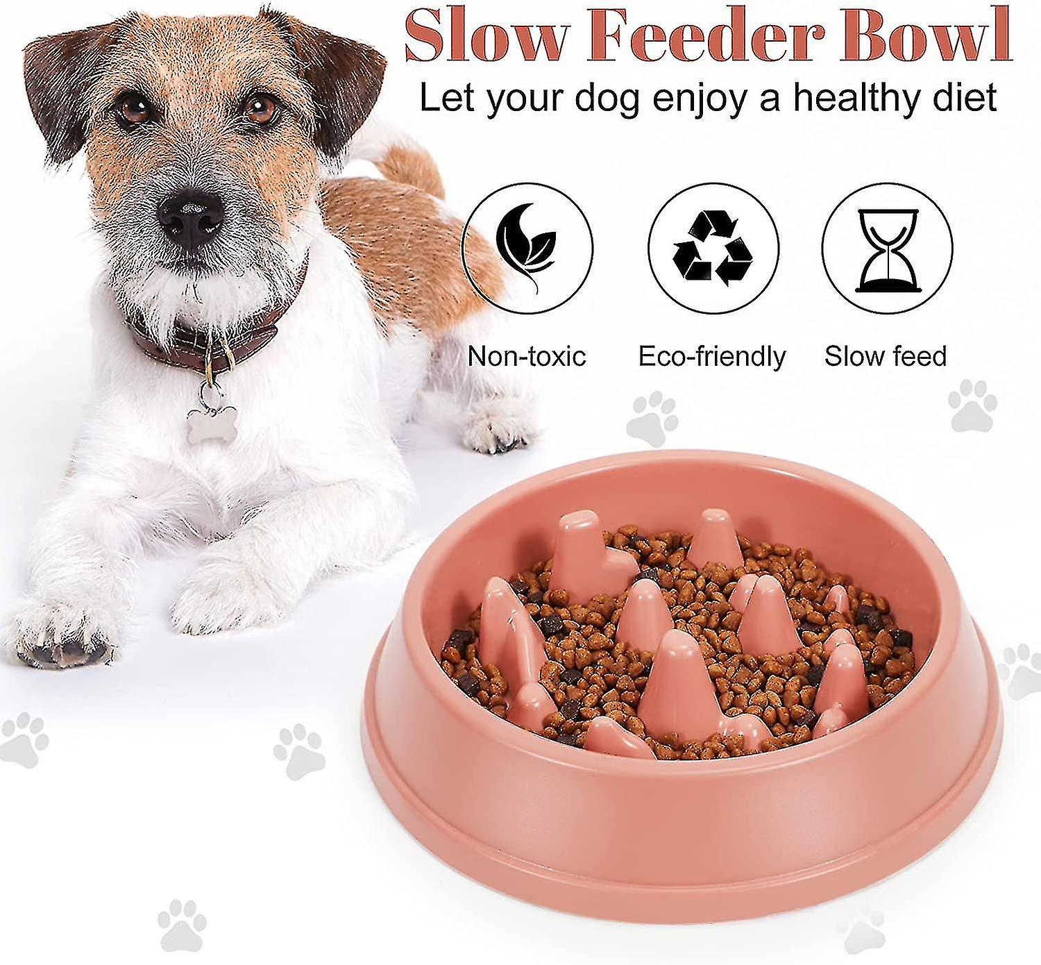 Slow Feeding Dog Plate Suitable Compatible With Small And Medium-sized Dogs And Cats Non-s