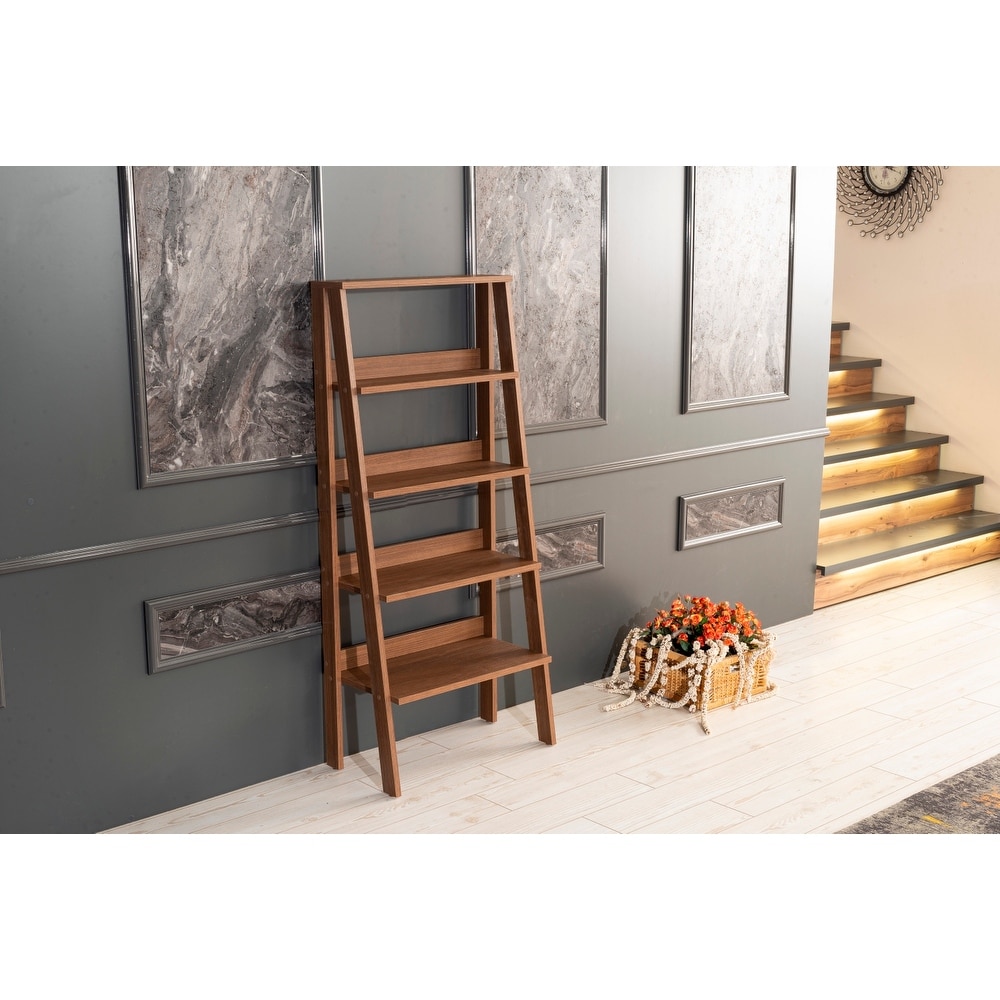 5 Tier Modern Ladder Bookshelf  Wood Frame Bookshelf for Small Spaces in your Living Rooms  Office Furniture Bookcase