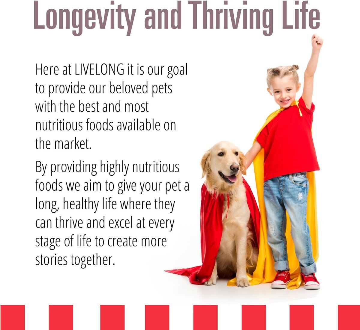 Livelong Healthy and Strong Bison/Buffalo and Sweet Potato Recipe Wet Dog Food， 12.8-oz can， case of 12