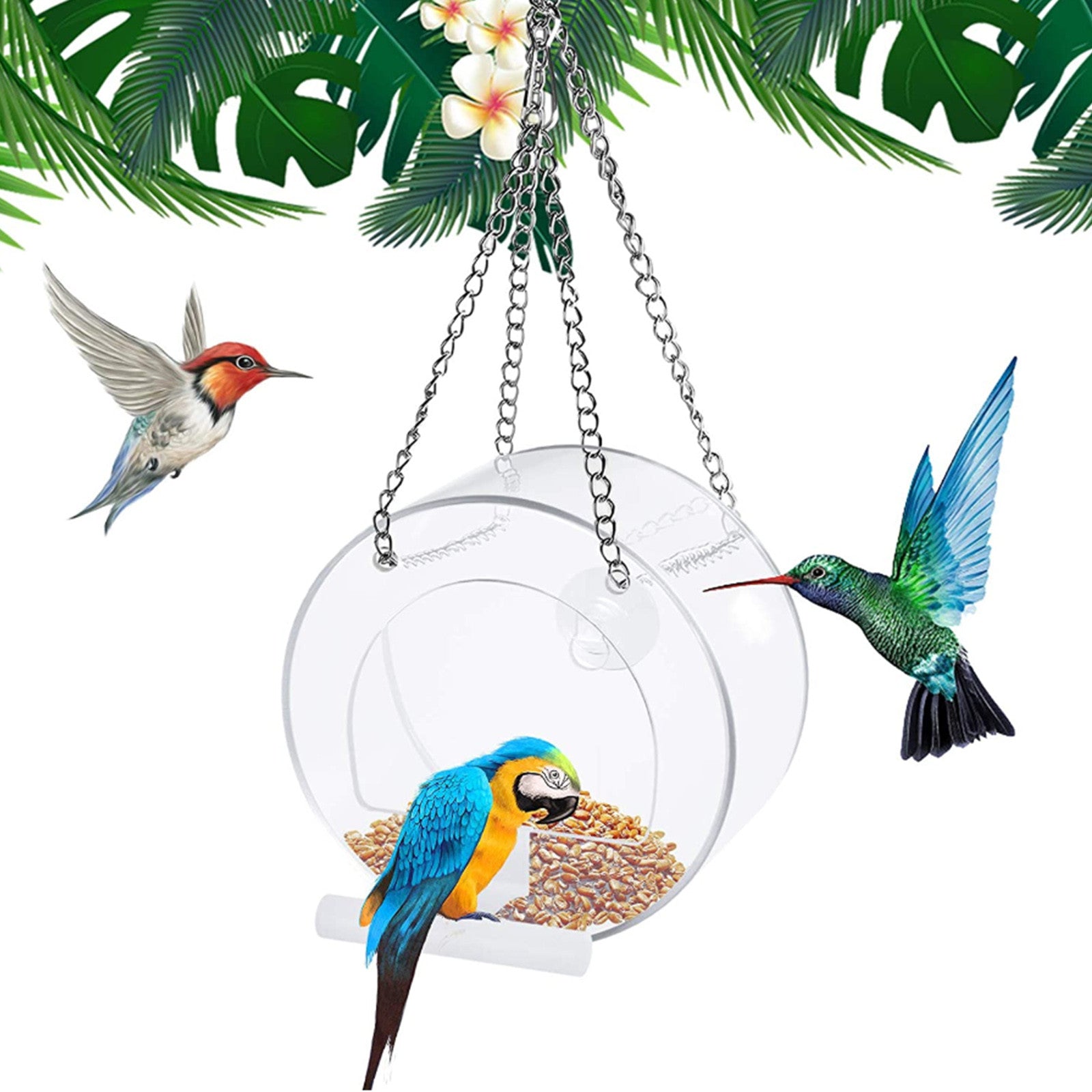 Baofu Round Hanging Window Bird Feeders with Lanyard and 1 Extra Suction Cups for Outdoor Garden Hummingbird