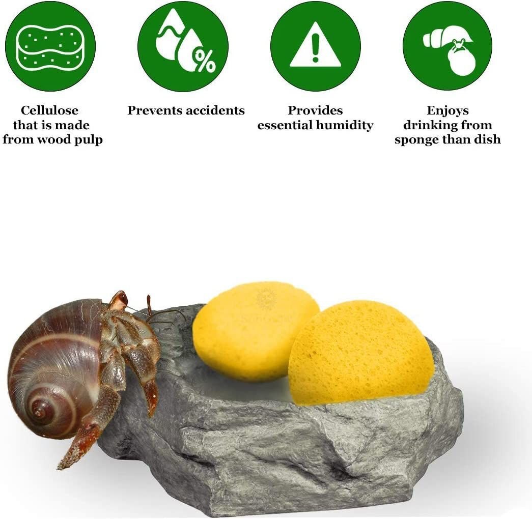 SunGrow Hermit Crab Tank Humidity Control Sponge， Yellow， 3 count