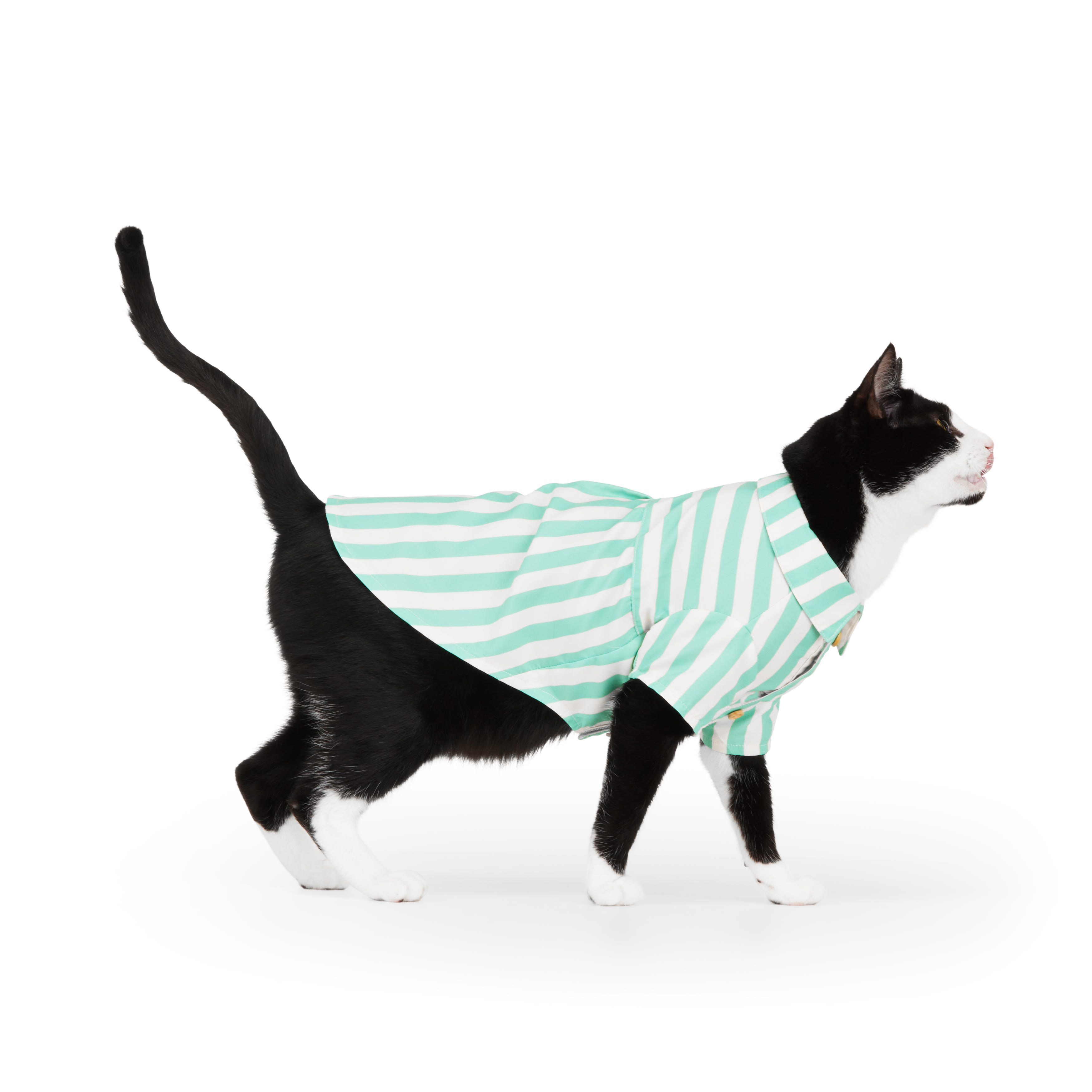 YOULY Green Stripe Shirt for Cats， Small/Medium