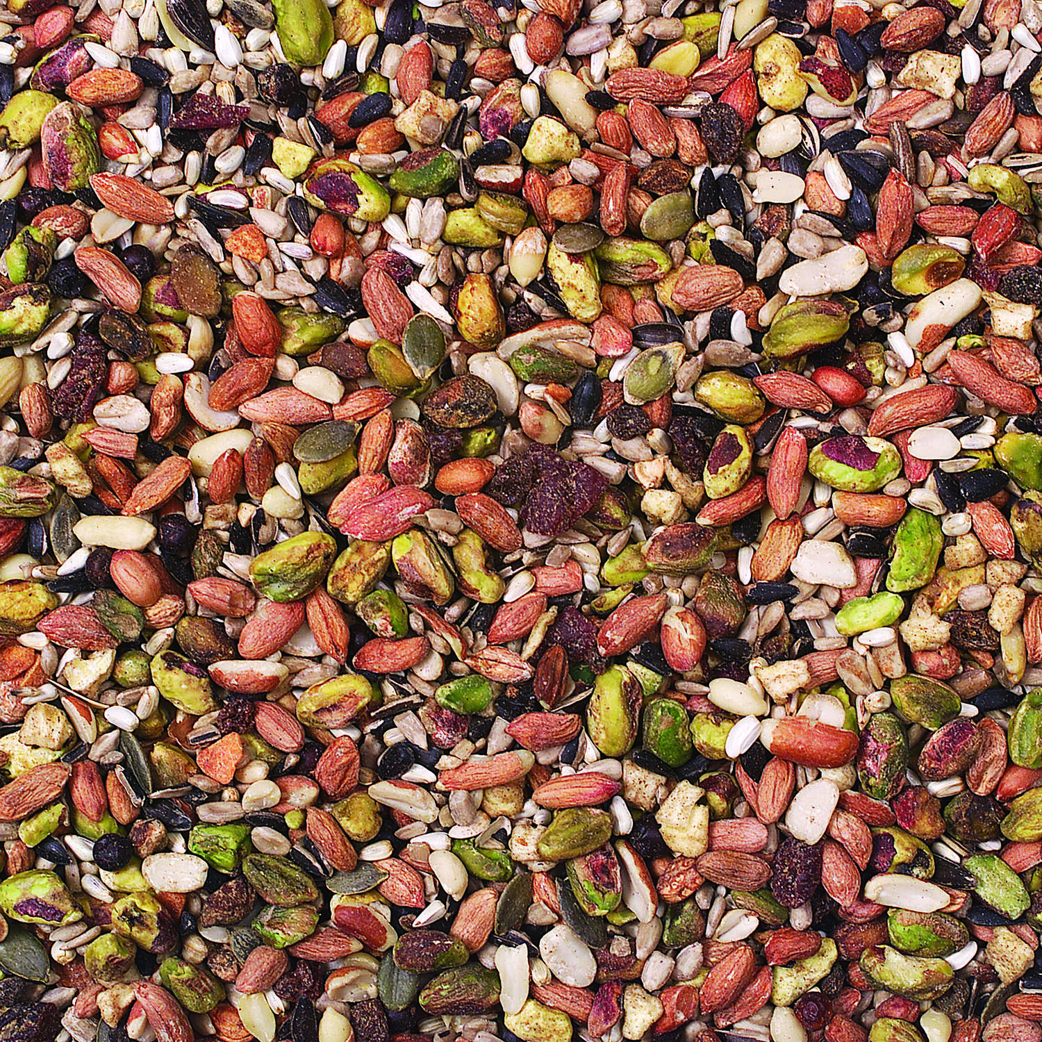 Wild Delight Woodpecker Sunflower Seeds Wild Bird Food 5 lb