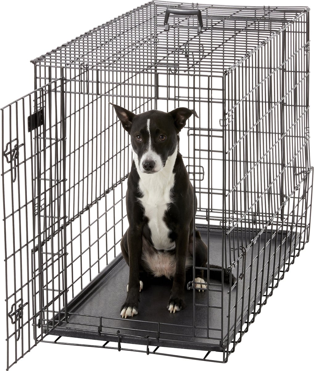 MidWest Solutions Series Side by Side Double Door Collapsible SUV Dog Crate