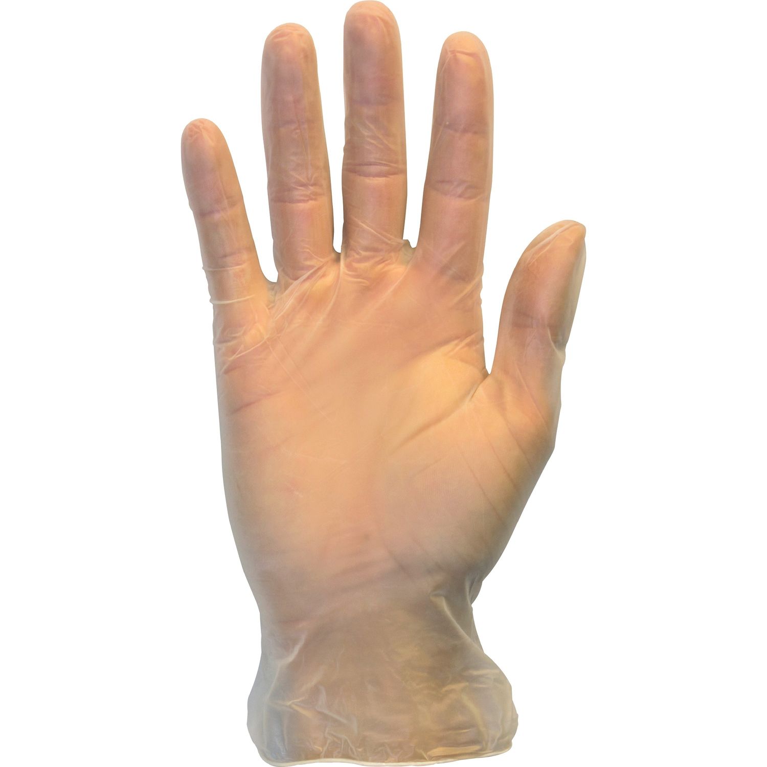 Powder Free Clear Vinyl Gloves by The Safety Zone SZNGVP9XLHHCT