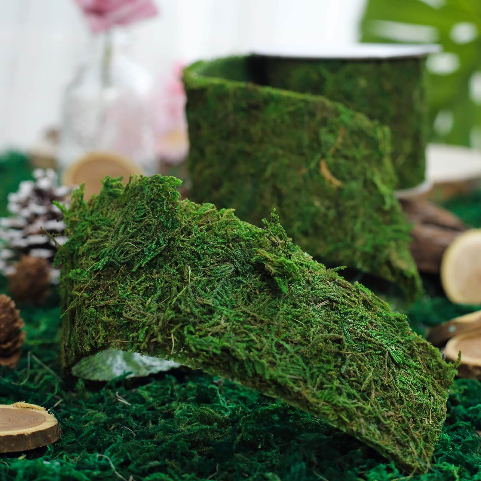 Green Preserved Moss Ribbon Roll, DIY Craft Ribbon 4ft 2