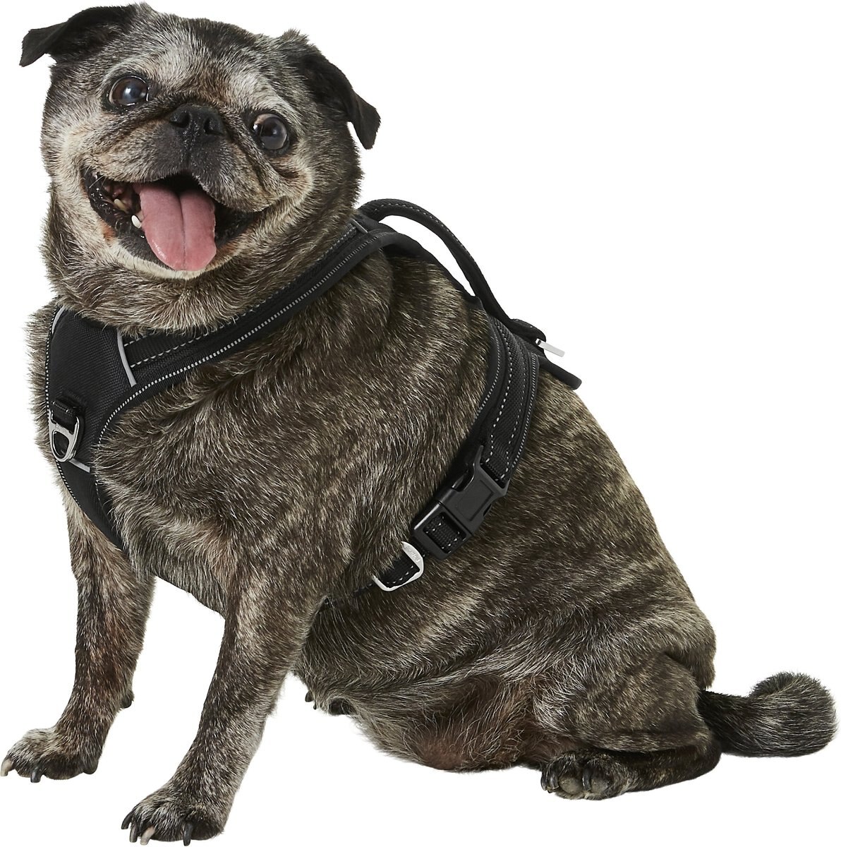 Mighty Paw Padded Sports Reflective No Pull Dog Harness