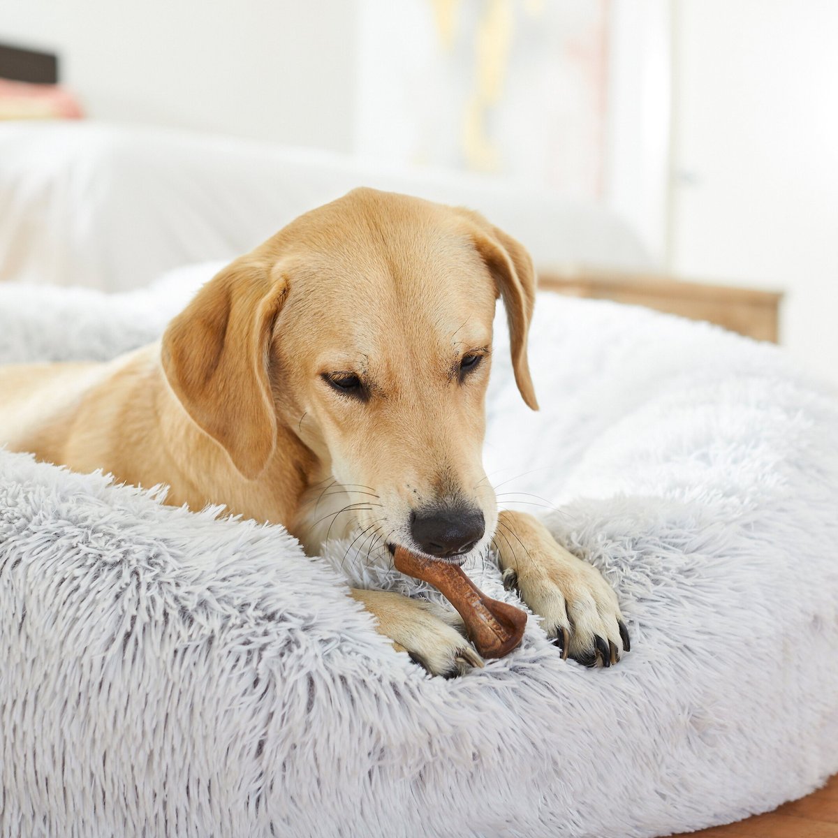 Blue Buffalo Dental Bones All Natural Rawhide-Free Large Dental Dog Treats