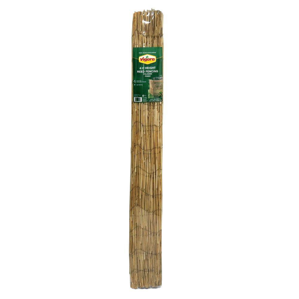 Vigoro 4 ft. H x 8 ft. W Natural Peeled and Polished Reed Fencing 4477301