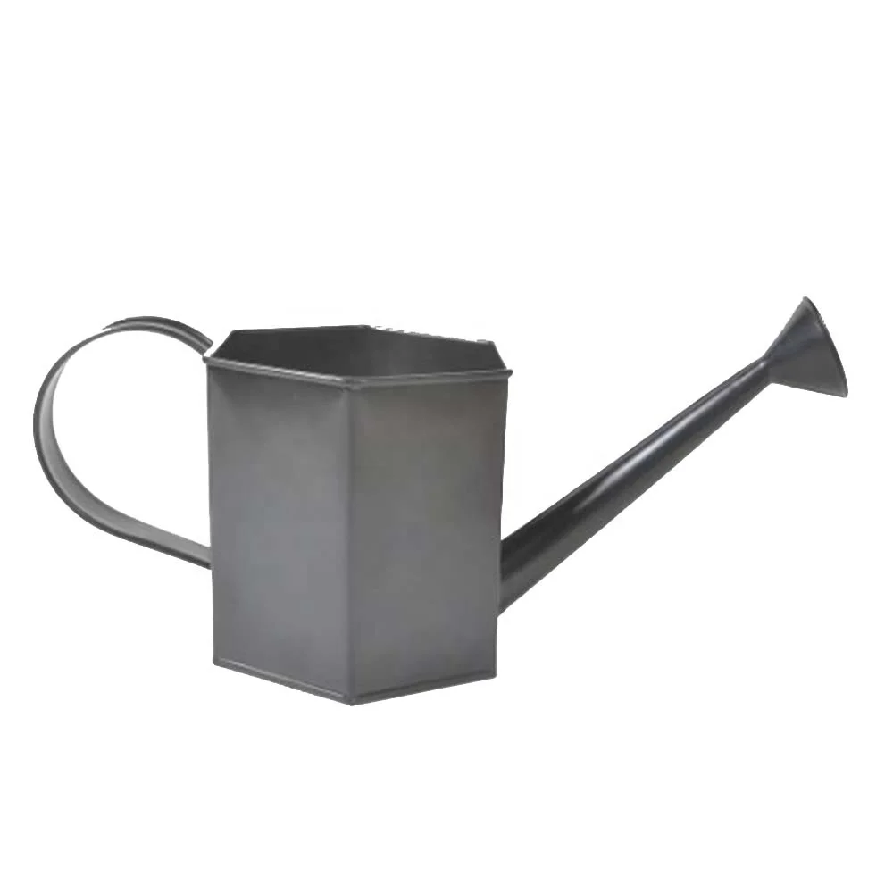 Buy  new decorative Watering Can use for gardens of hotels restaurants indoor outdoor made with pure and fresh metal