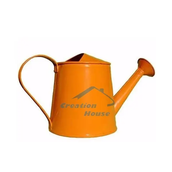 Vintage Design Watering Can Newly Design Garden Metal Sprinkling Can Watering Pot Customized Hot Selling At Cheap Price