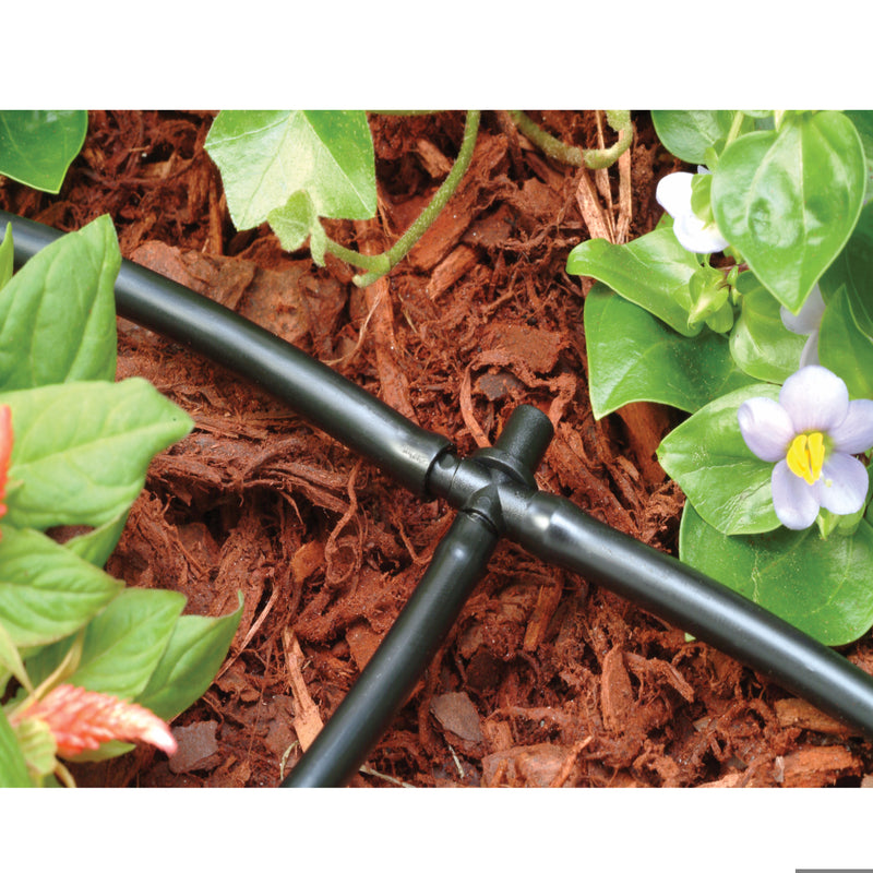 Rain Bird  Barbed  1/4 in. Drip Irrigation Cross  10 pk