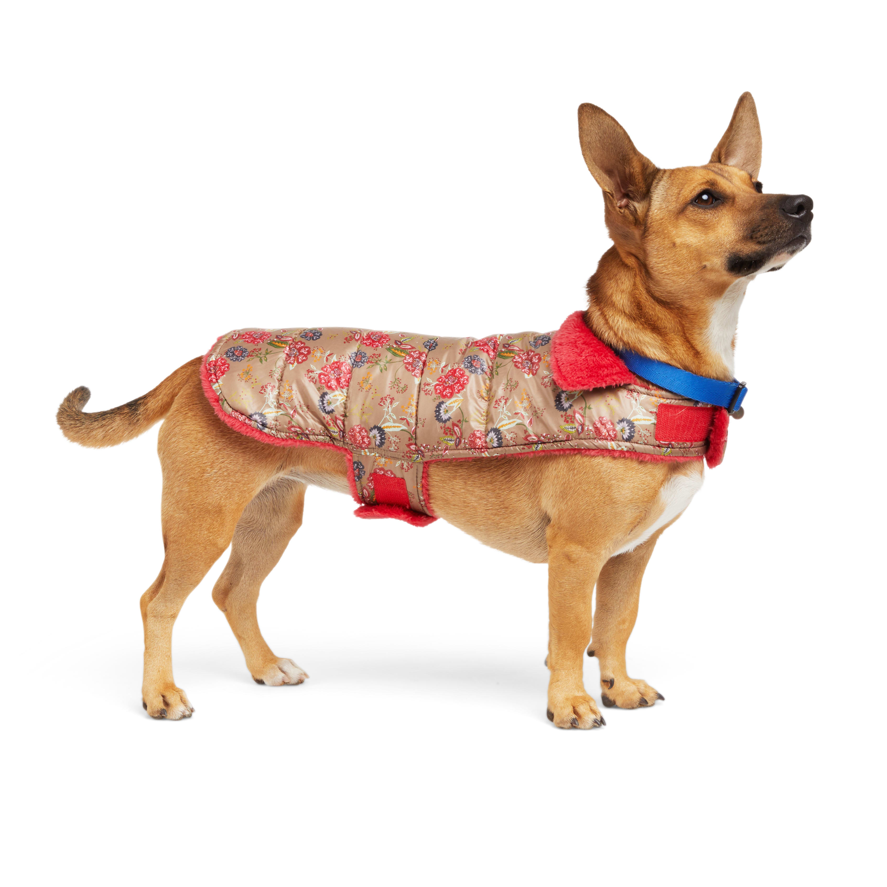 YOULY Floral Reversible Cozy Puffer Dog Jacket， X-Small/Small