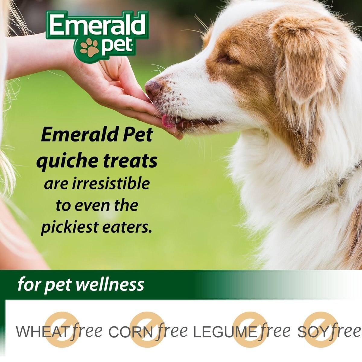 Emerald Pet Quiche Royale Egg Recipe with Cheese and Ham Chewy Dog Treats， 6-oz bag