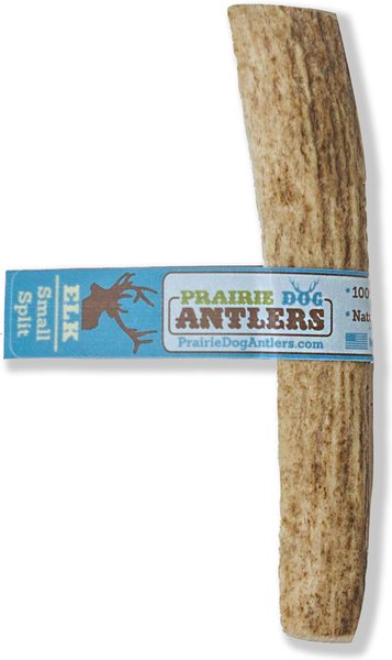 Prairie Dog Split Elk Antler Dog Chews， 4 - 5.5 in