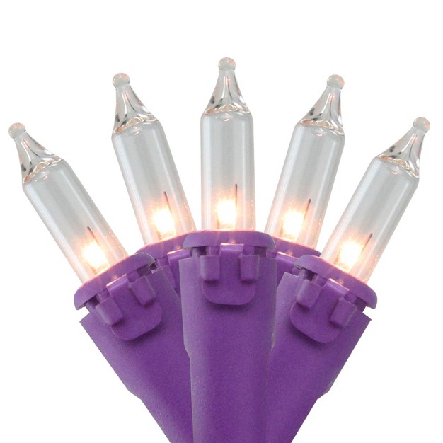 Brite Star 50ct Mini Christmas Lights Clear 19 x27 Purple Wire