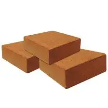 Outstanding Quality of CocoCoirPeat Blocks The Ultimate GrowingMedium CocoPithBlocks The Eco Friendly Gardeners ChoiceFrom India