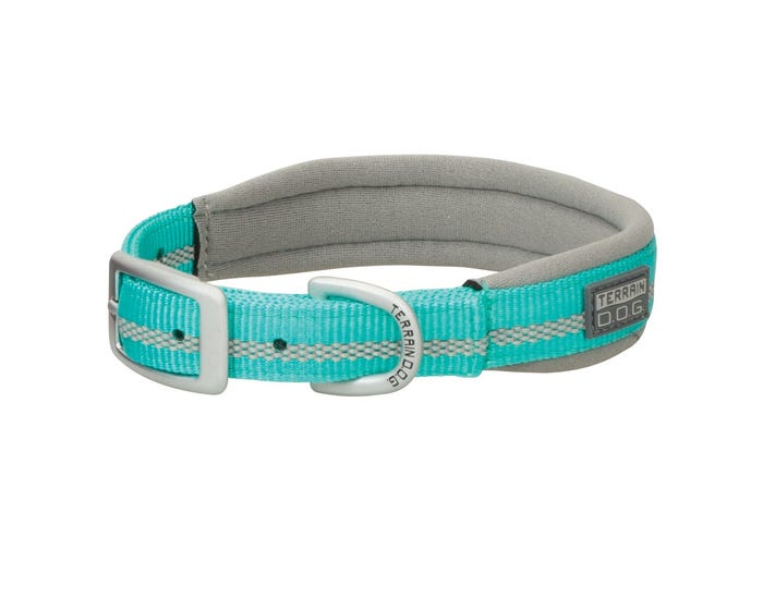 Terrain D.O.G. Reflective Neoprene Lined Collar， Mint， 3/4