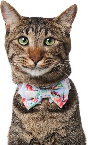 Frisco Floral Dog and Cat Bow Tie