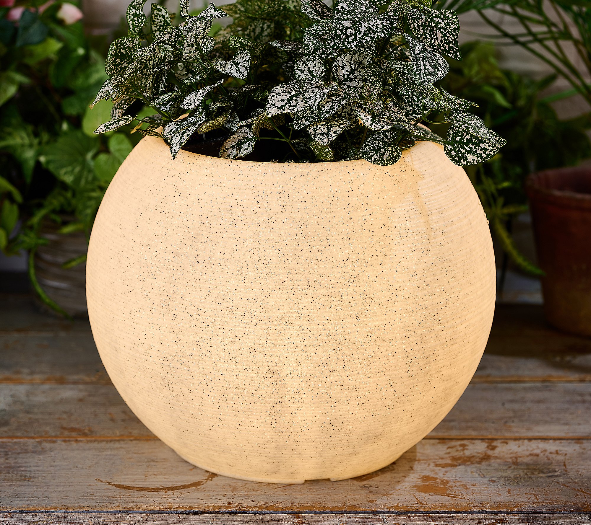 As Is Scott Living 15.7W x 12.4H Illuminated Large Planter