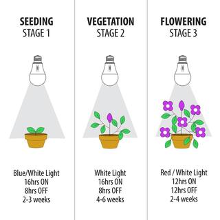 Feit Electric 9-Watt A19 Selectable Spectrum for SeedingGrowingBlooming Indoor Greenhouse Plant E26 LED Grow Light Bulb (1-Bulb) A19ADJGRWLEDHDRP