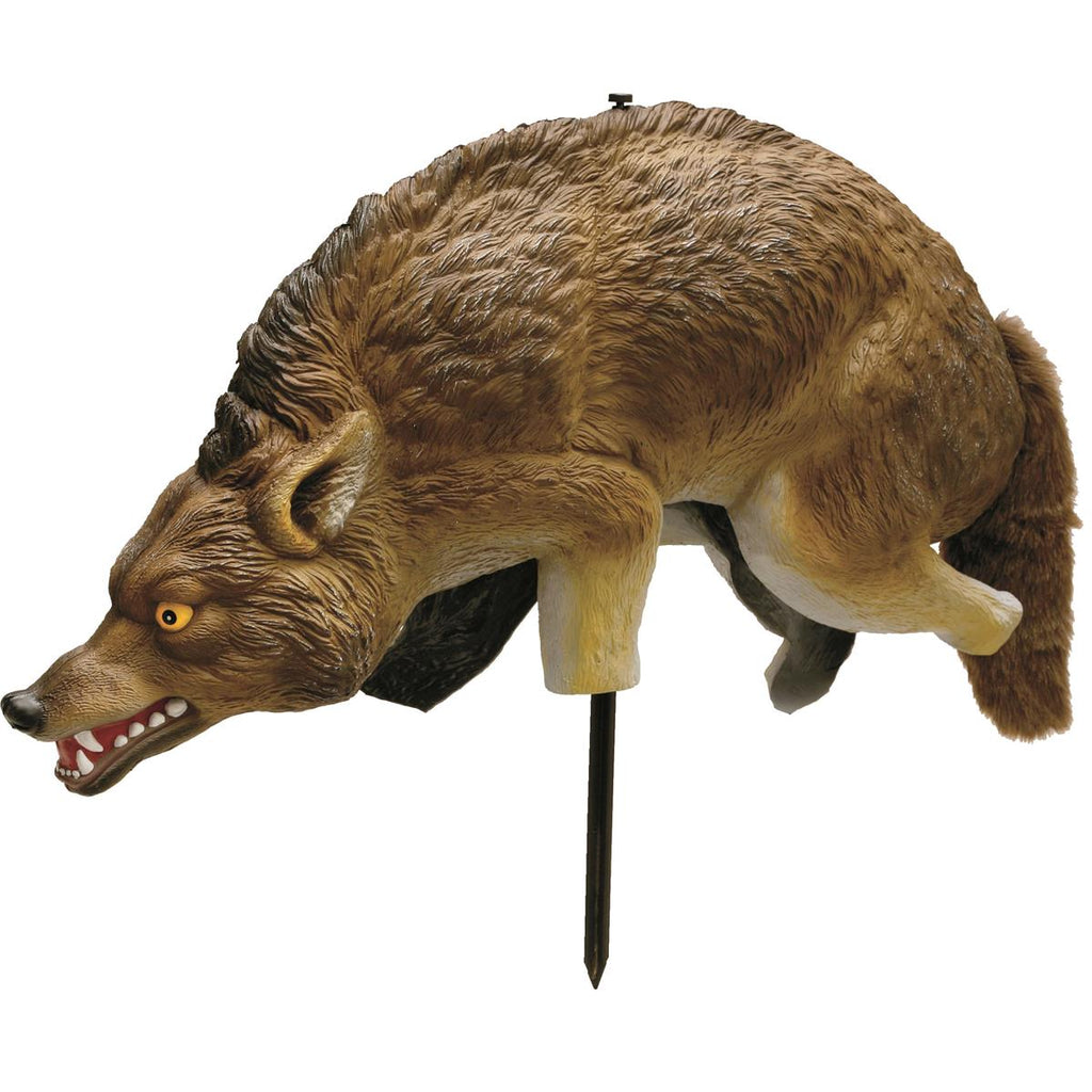 3-D Predator Coyote Decoy