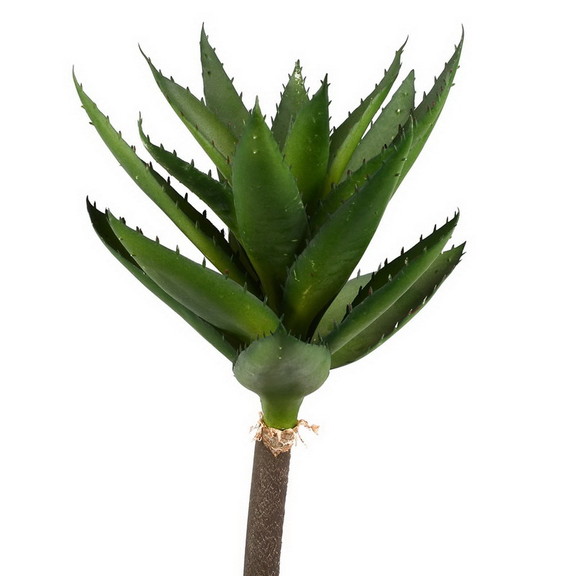 Vickerman FH180601 14 Green Succulent Stem 2/Pk