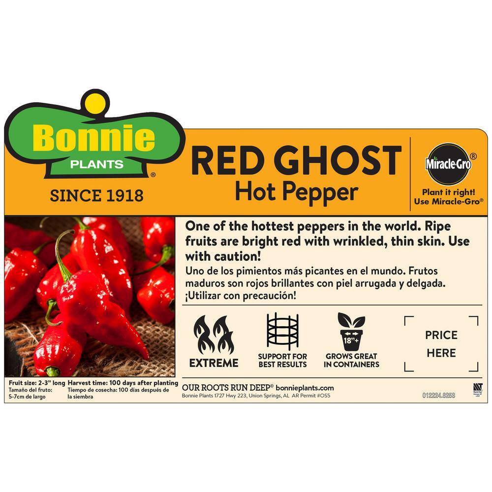 Bonnie Plants 19 oz. Red Ghost Super Hot Pepper Plant 3150