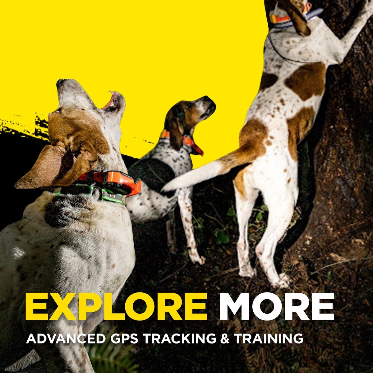 Dogtra Pathfinder2 Trx Dog Tracking Only Additional Receiver Collar