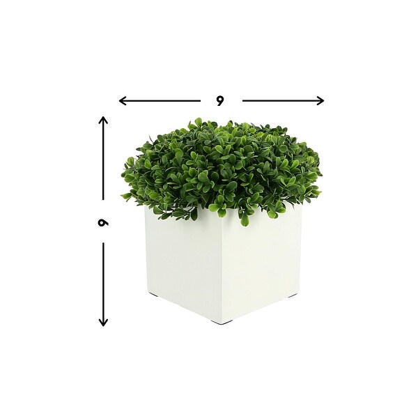 UV Rated Outdoor Boxwood in a Square Fiberstone Pot