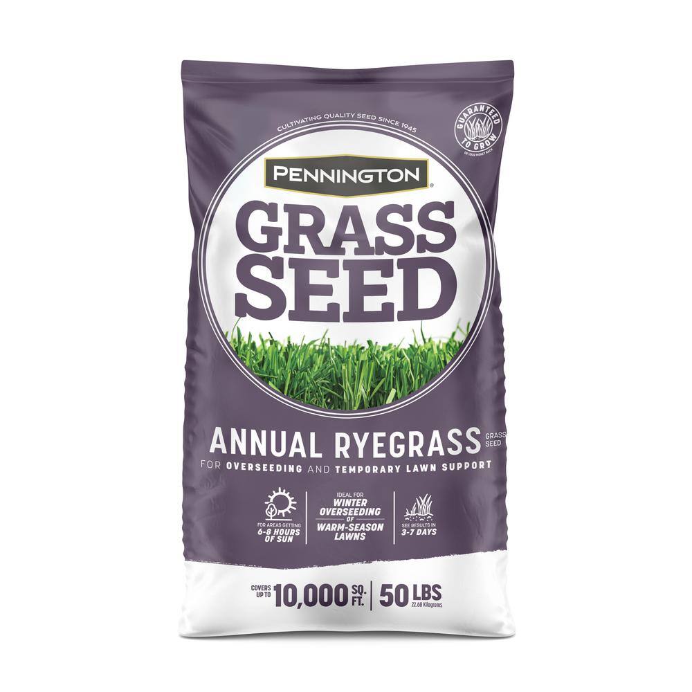 Pennington 50 lb. Annual Ryegrass Grass Seed 100082644