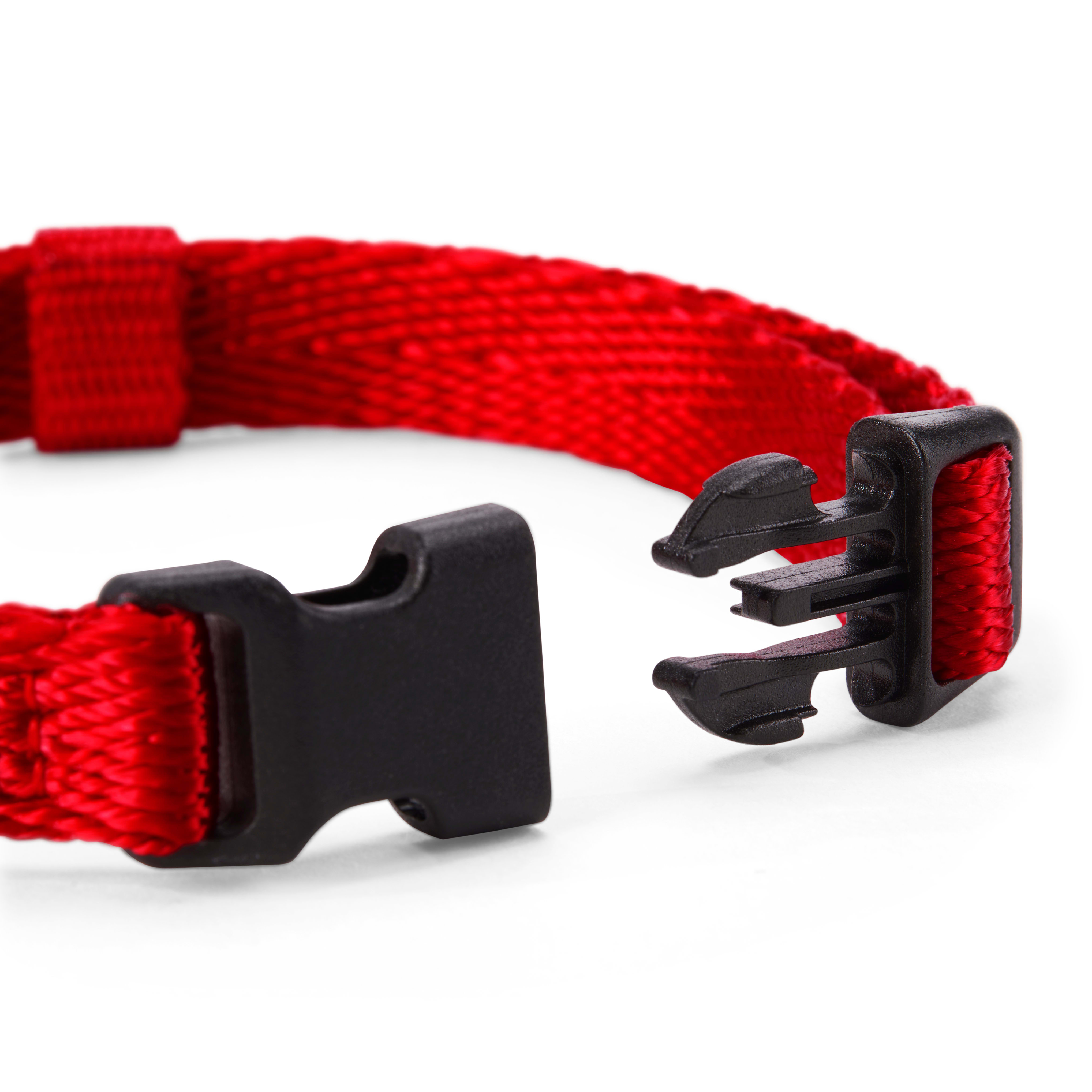 YOULY The Classic Red Webbed Nylon Dog Collar， Small