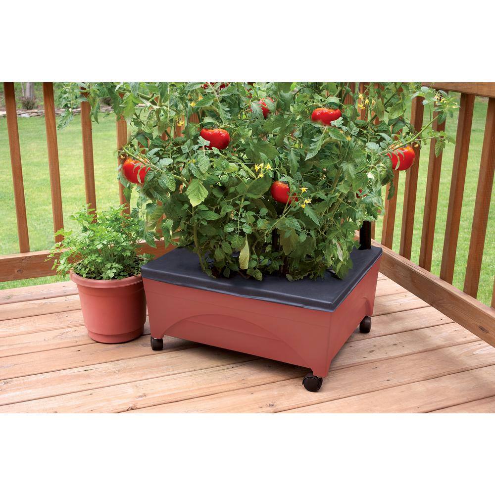 CITY PICKERS 24.5 in. x 20.5 in. Patio Raised Garden Bed Grow Box Kit with Watering System and Casters in Terra Cotta 2340D