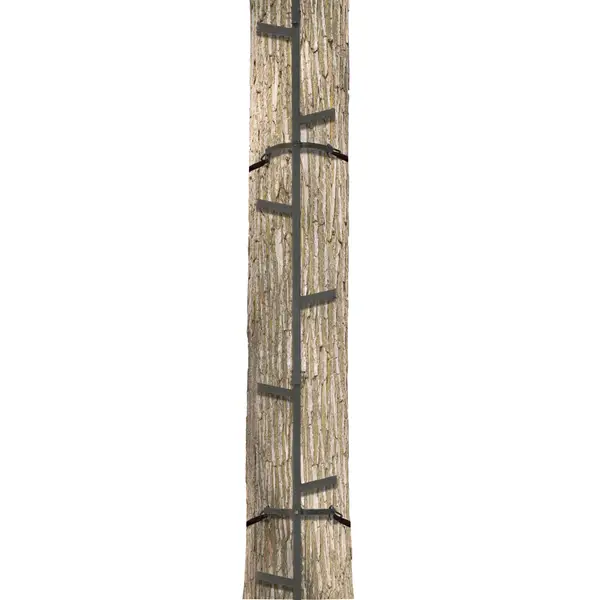 Big Game 20' Quick Stick Climbing System