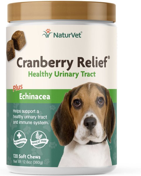 NaturVet Cranberry Relief Plus Echinacea Soft Chews Urinary Supplement for Dogs