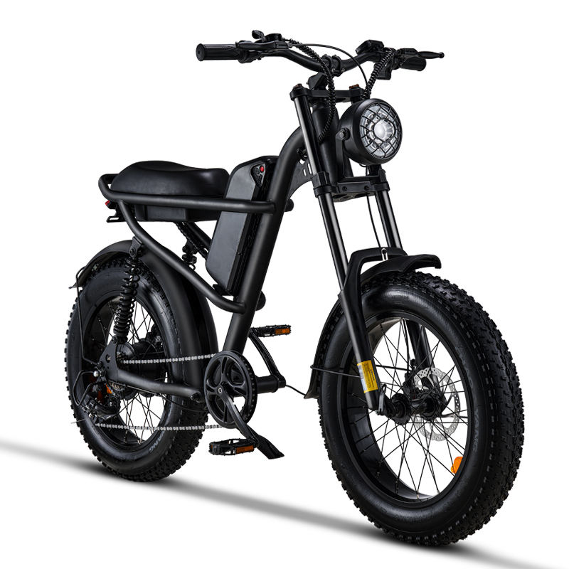 DROPSHIP ADULT BEACH Z8 ELECTRIC BIKE BICYCLE with Thumb throttle