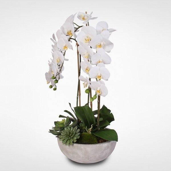 Silk White Phalaenopsis Orchids and Succulents in a Modern Stone Bowl