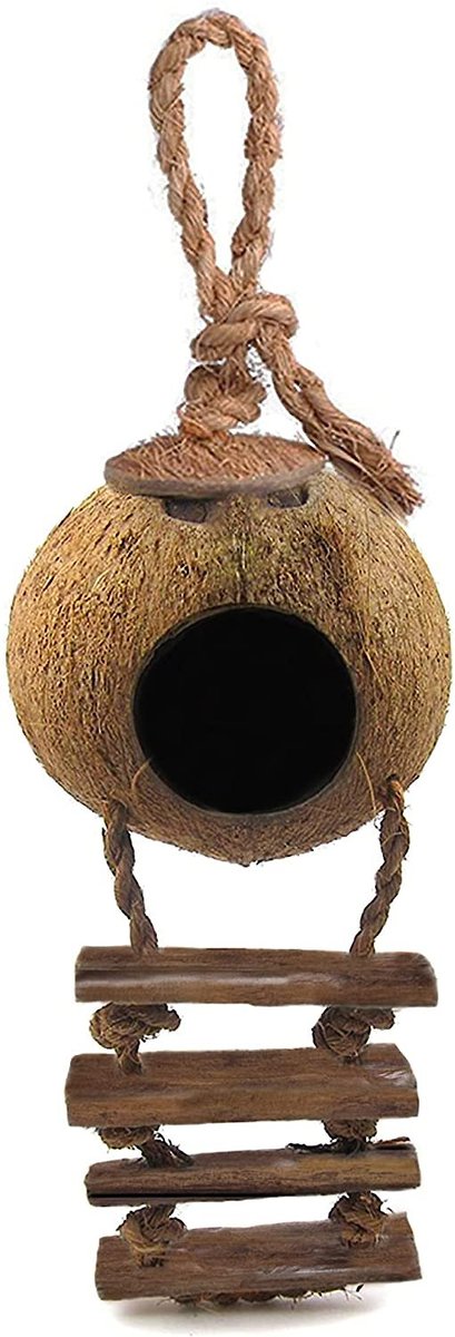 SunGrow Hamster and Gerbil Coconut Hut with Ladder Hideout Accessory Small Animal House， 5-in