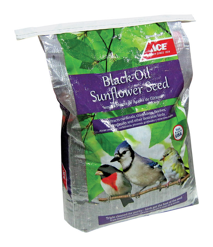 OIL SUNFLOWER BSEED 40LB