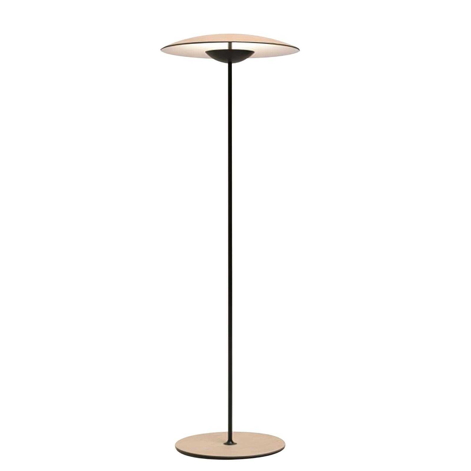 Innovative Directional Floor Lamp