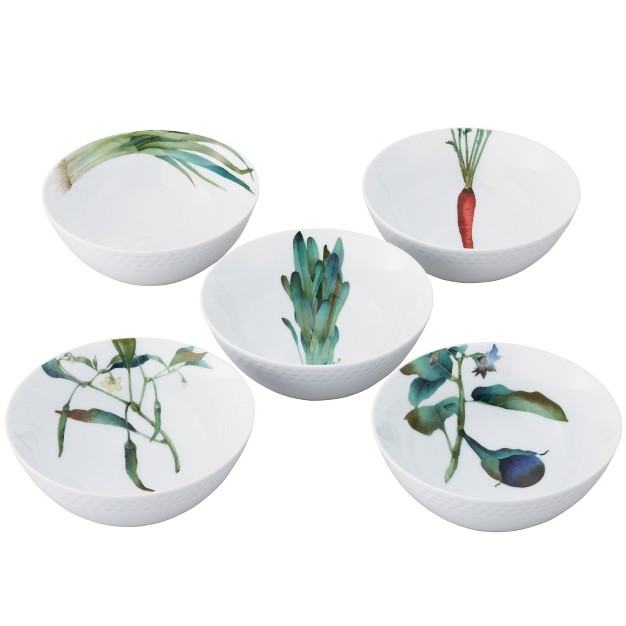 Noritake Kyoka Shunsai 5 piece Bowl Set