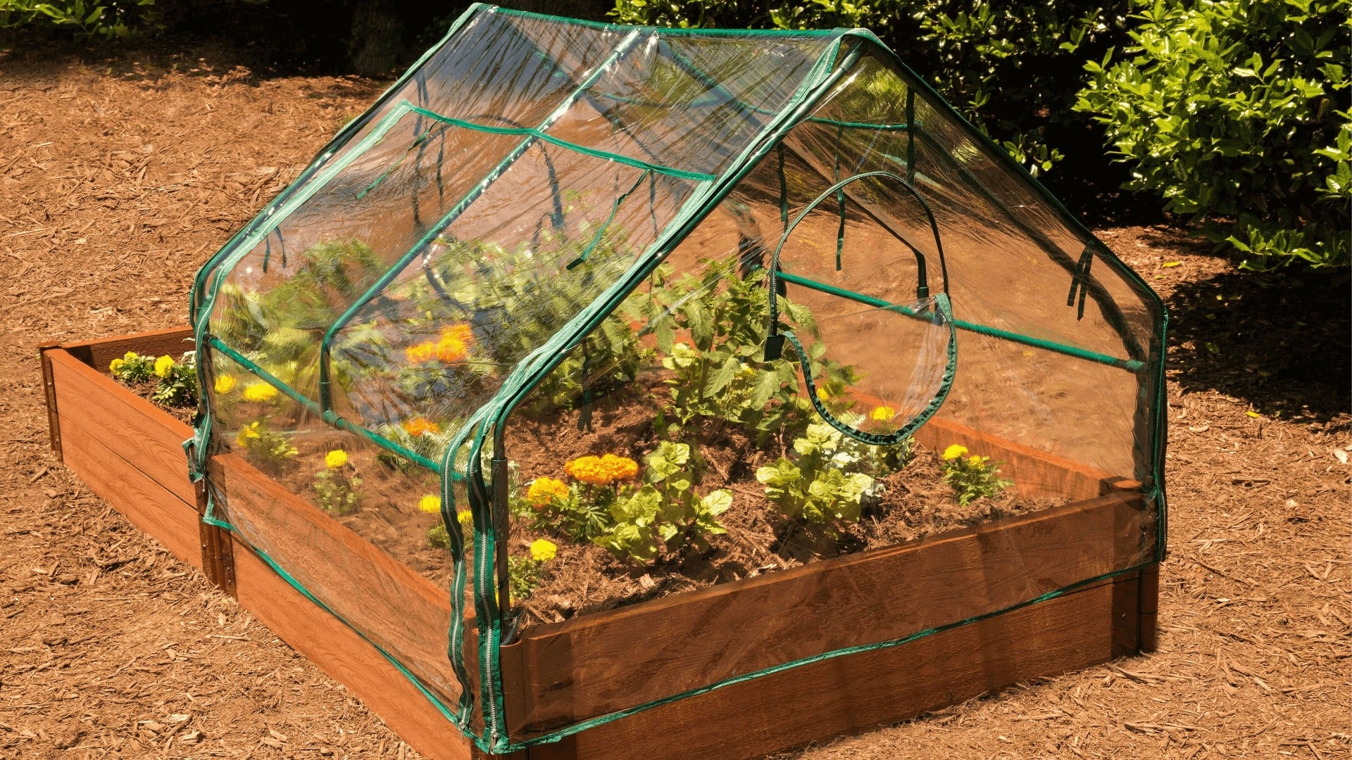 Cold Frame For Raised Bed - The 4 x 4 ‘Greenhouse’