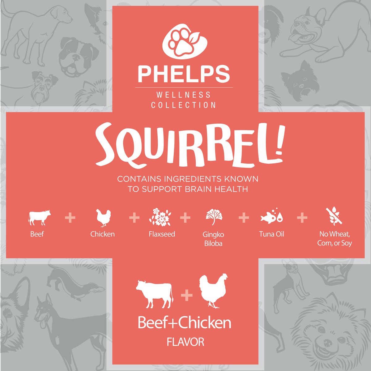 Phelps Wellness Collection Squirrel! Beef and Chicken Flavor Dog Treats， 4-oz bag