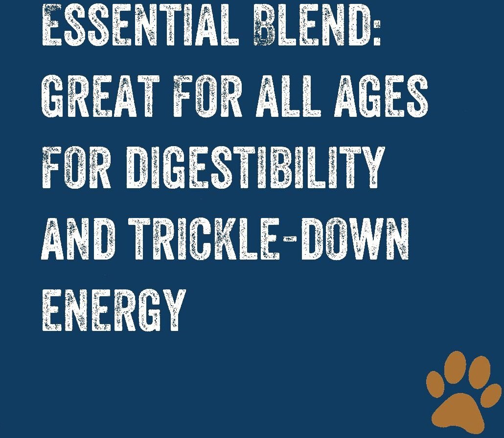 Team Dog Salmon Meal and Herring Meal 26/20 Essential Blend Premium Dry Dog Food， 33-lb bag