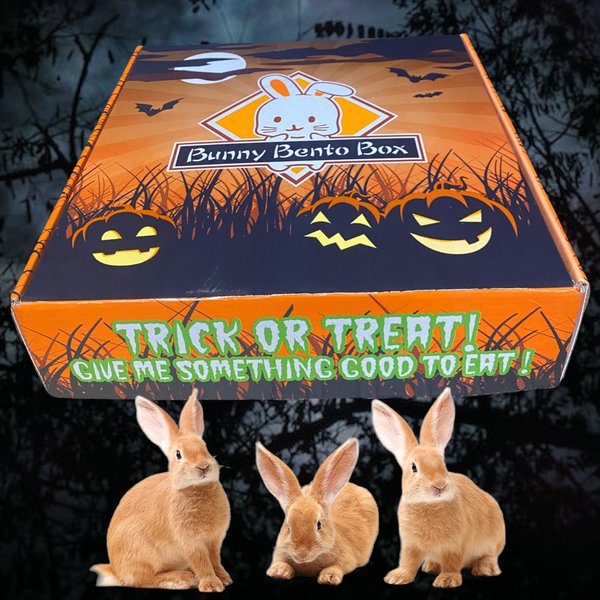 Sweet Meadow Farm Halloween Edition Bunny Bento Box Small Pet Treats， 10-oz box