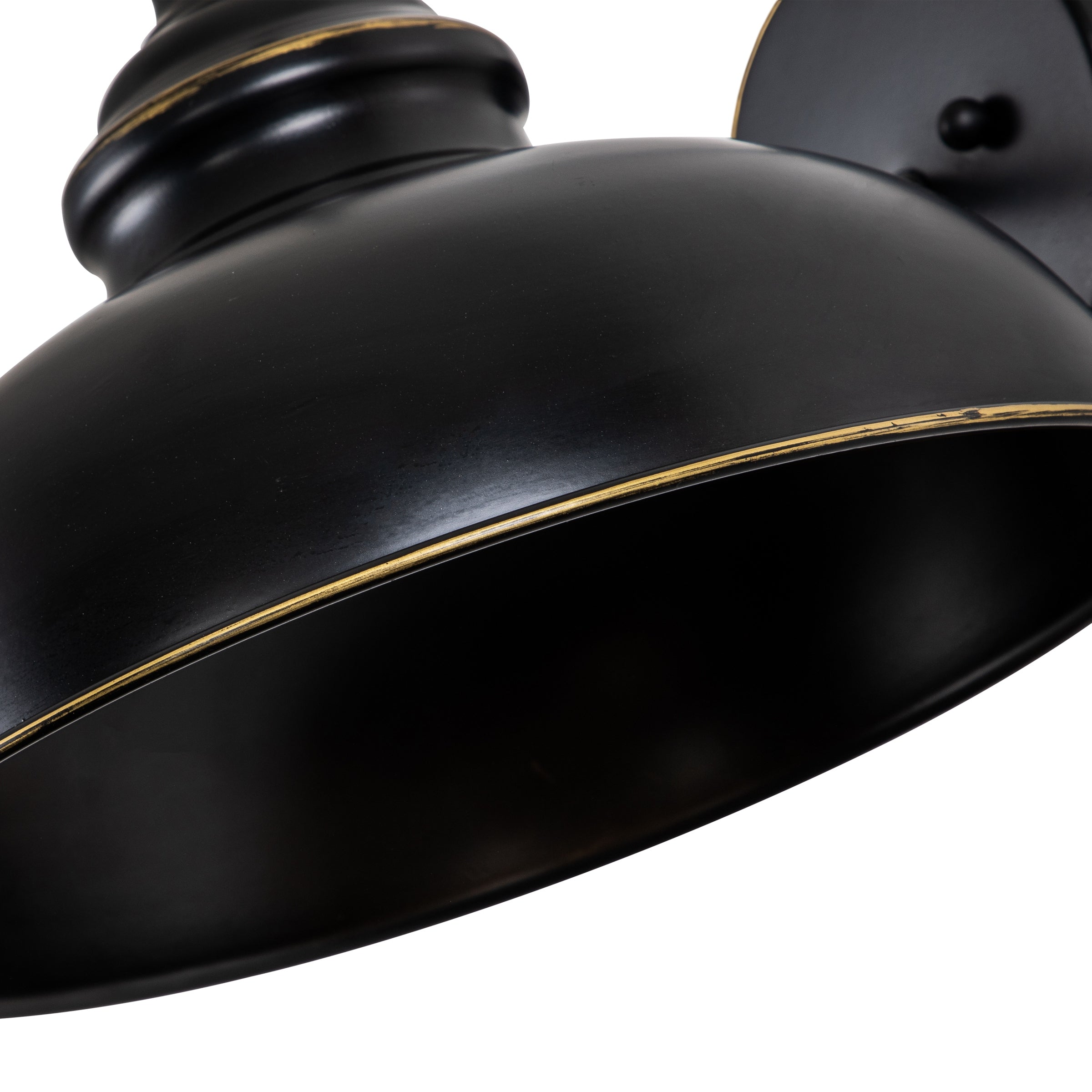 C Cattleya 1-Light Black Outdoor Barn Light with Gold Edges