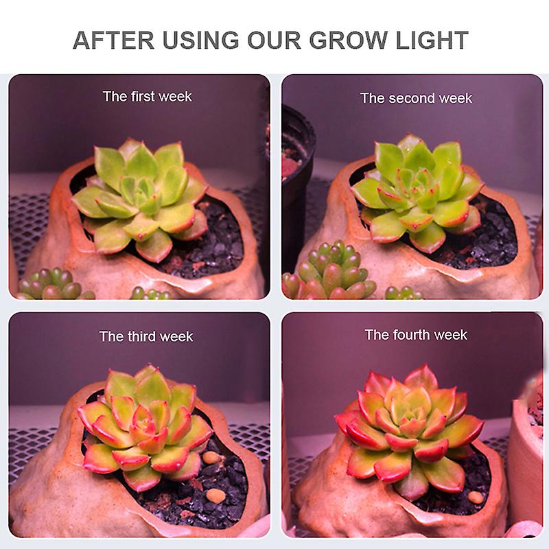 150w Cob Led Grow Light Indoor Phyto Lamp For Plants Full Spectrum Led Growth Lamp Grow Tent Box Lamps For Home Plants Flowers